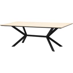 Eettafel Stilo 220 x 100 cm - 4