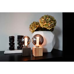 Lichtbron Globelamp 9,5 cm Titanium E27 - 3