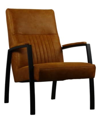 Fauteuil Addie - 1