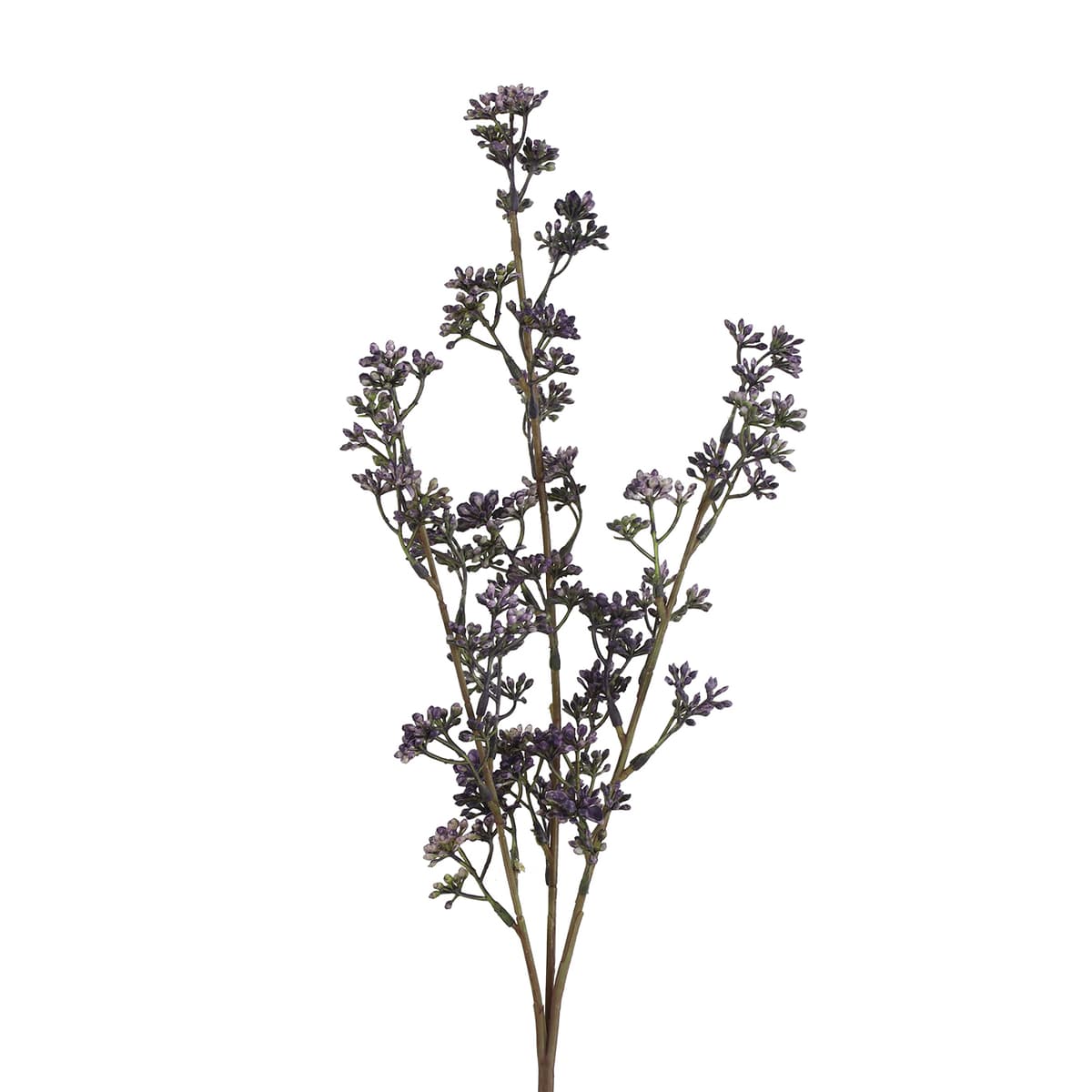 Prunus kunsttak paars - 1